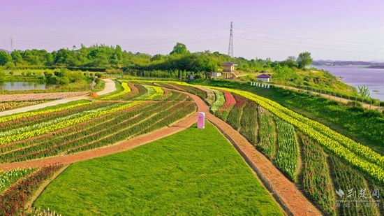 翟铺村花涧谷花海.jpg.jpg