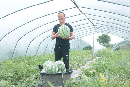 周碾村西瓜基地  曹锦军.jpg
