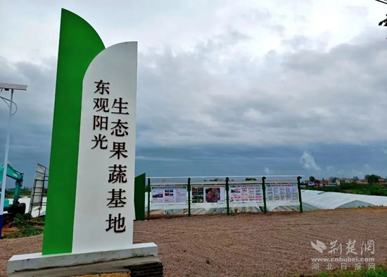 乡村振兴5.jpg