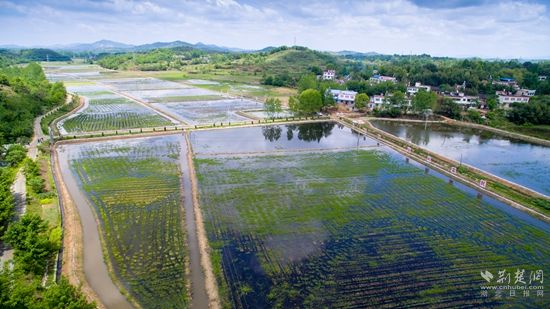 浠水人口_湖北省五大人口县,黄冈市就有三个(2)