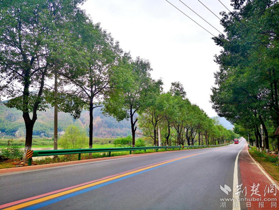 国庆就近出游咸宁公路风景这边独好