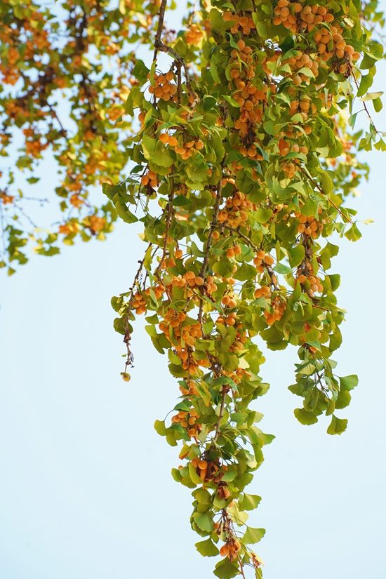 新建文件夹 (2)IMG_4133(20221002-154059).jpg.jpg