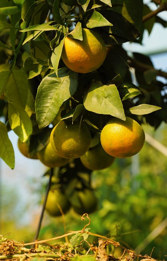 新建文件夹 (2)IMG_4124(20221002-153531).jpg.jpg