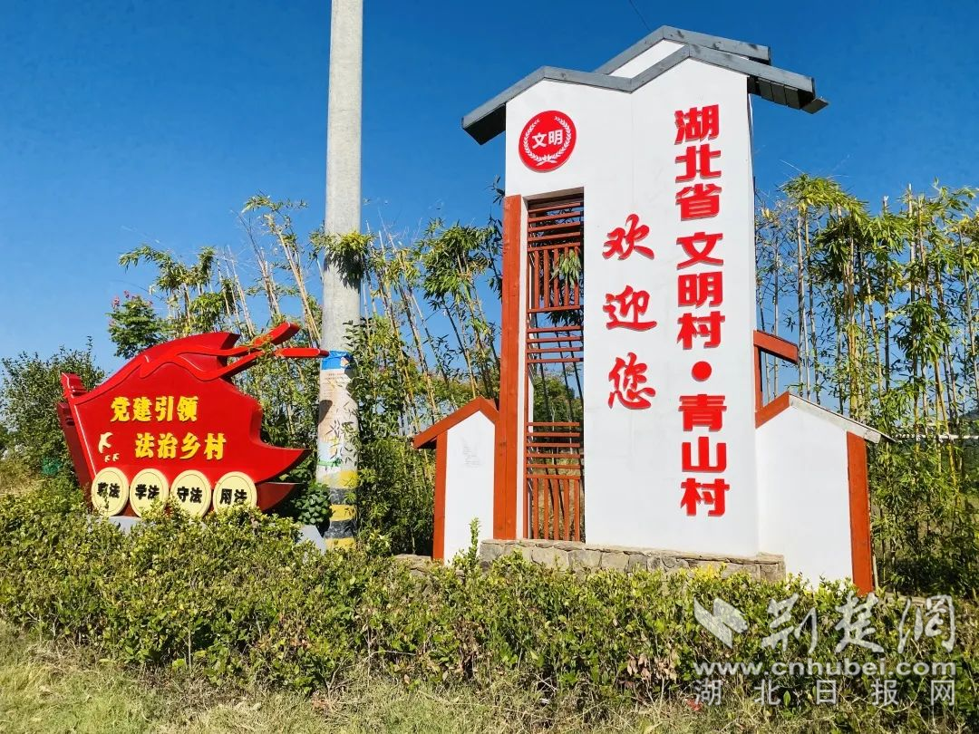 图片 20.png.png