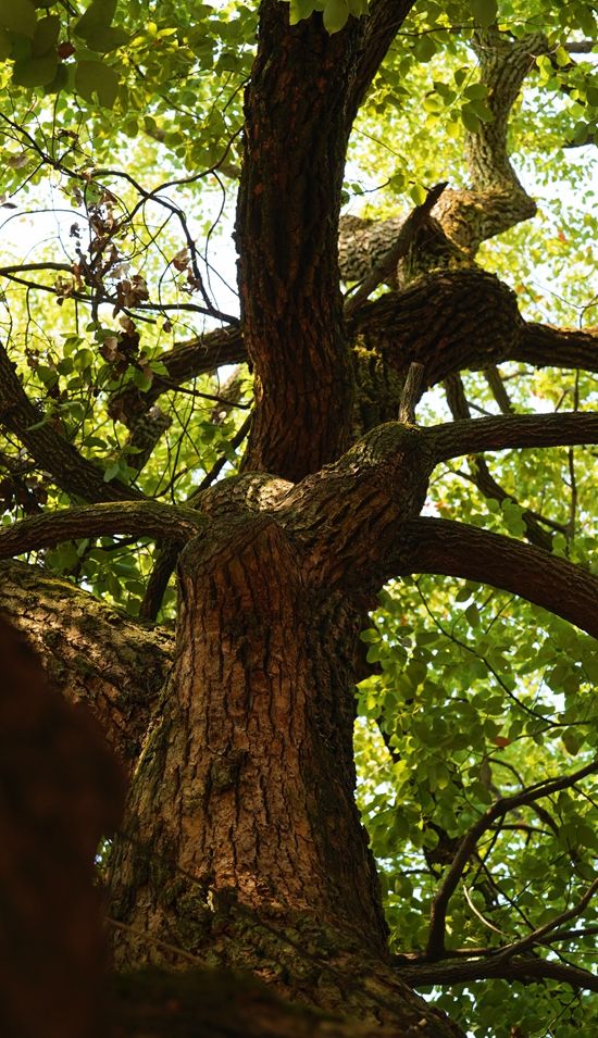 新建文件夹 (2)IMG_4132(20221002-154015).jpg.jpg