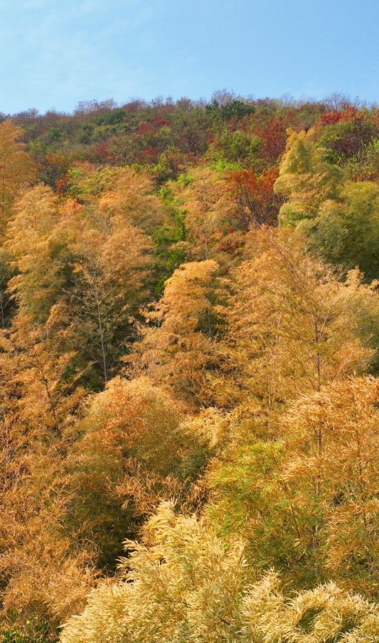 新建文件夹 (2)IMG_4122(20221002-153143).jpg.jpg