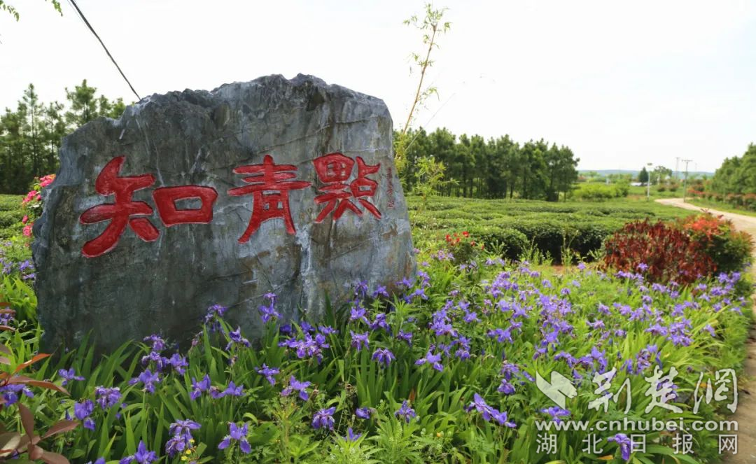 图片 10.png.png