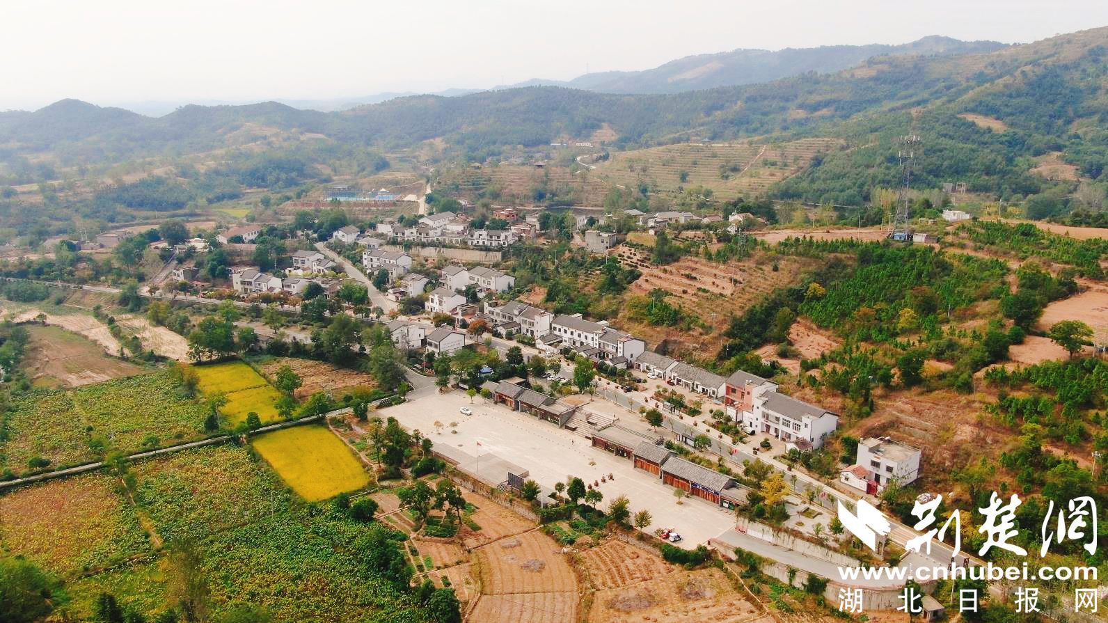 金岭村_副本.jpg.jpg