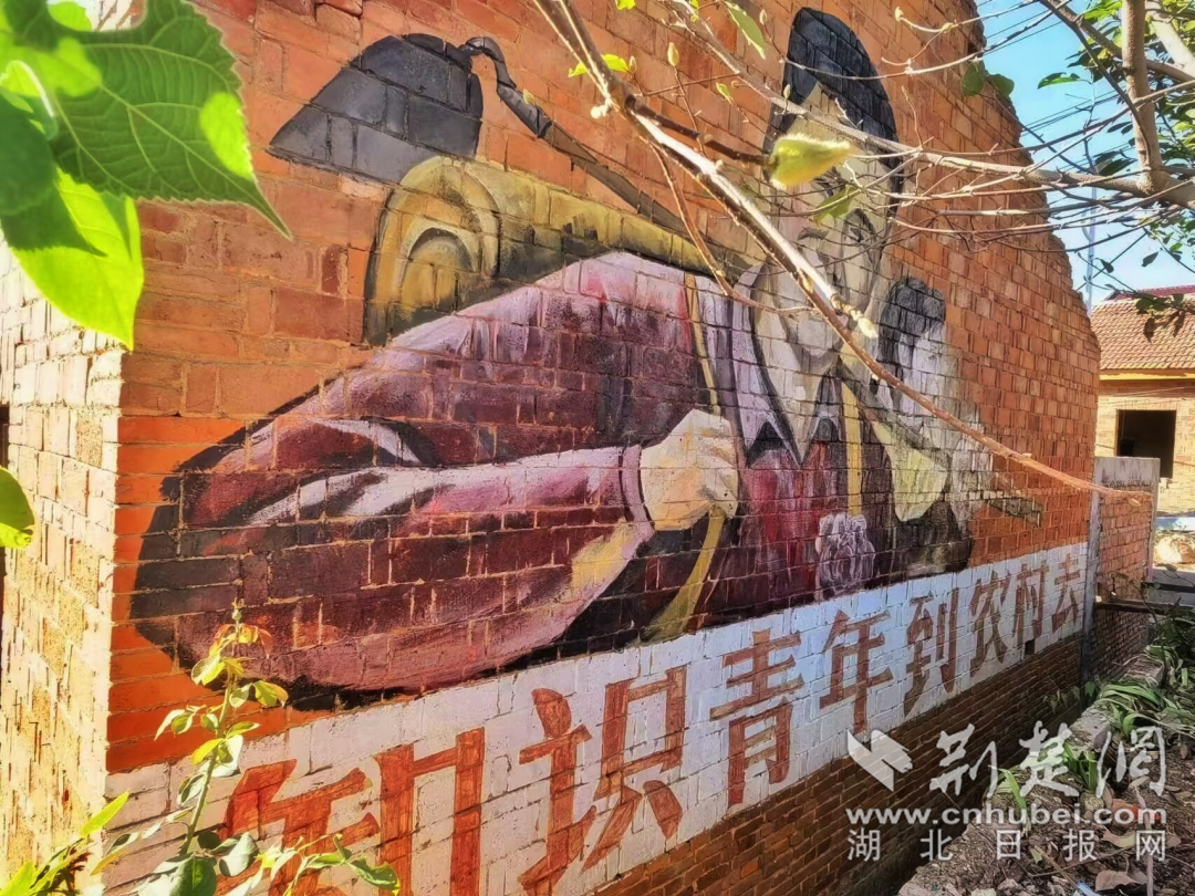 图片 7.png.png