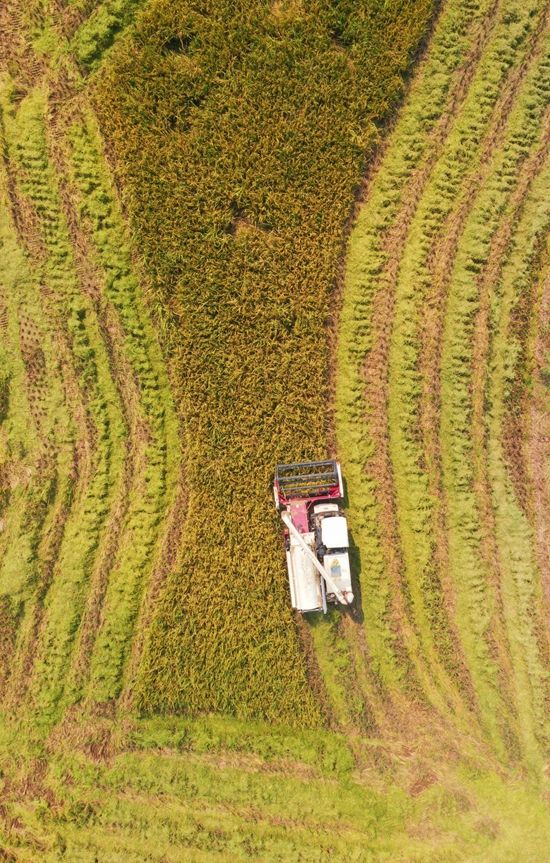 新建文件夹 (2)IMG_4138(20221002-154406).jpg.jpg