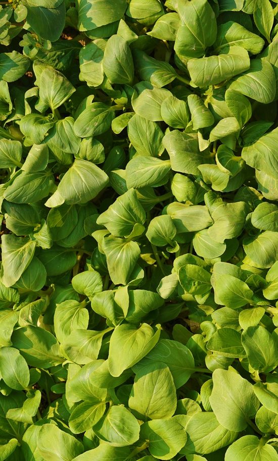 新建文件夹 (2)IMG_4127(20221002-153734).jpg.jpg