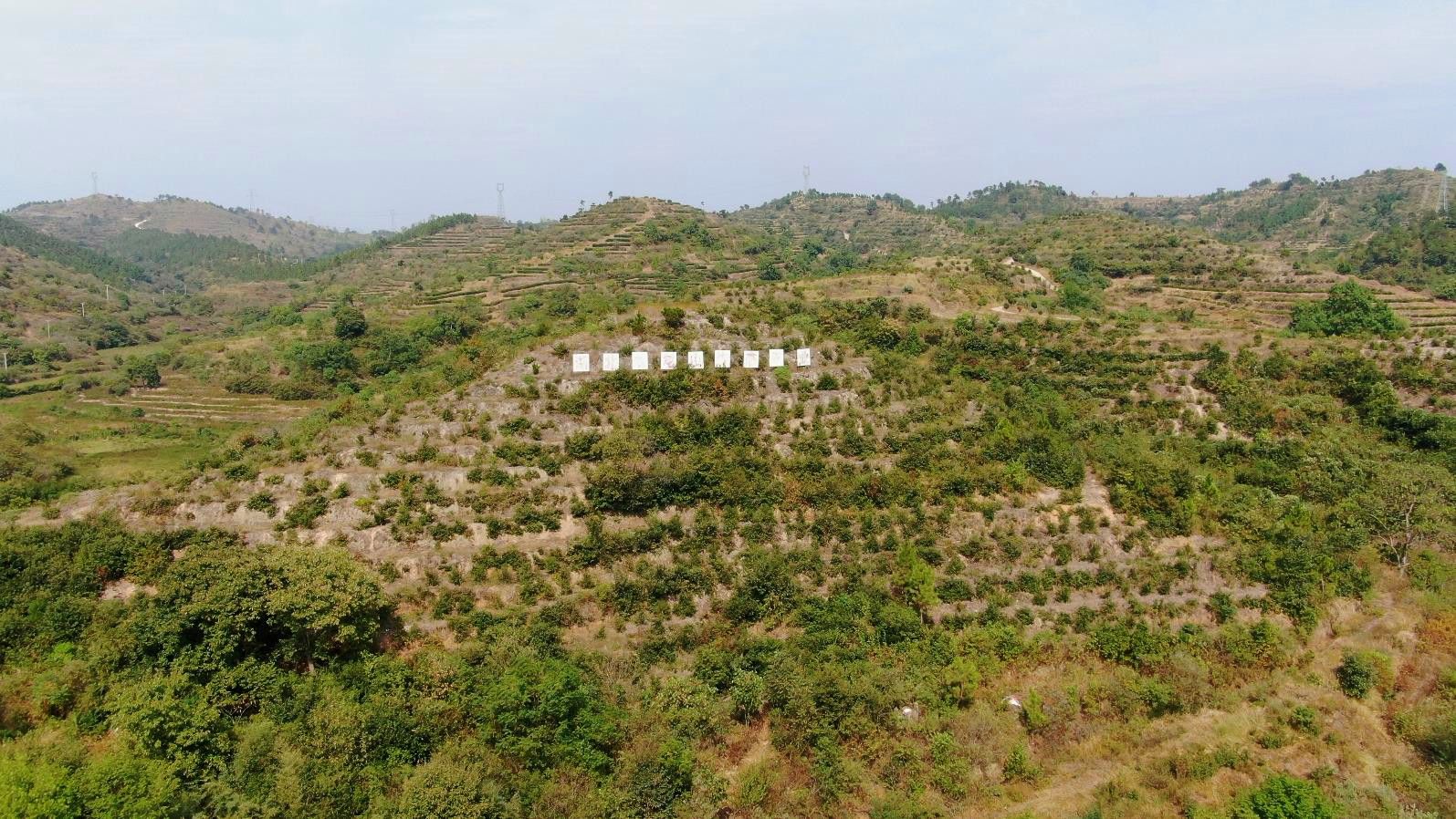 九龙山生态园_副本.jpg.jpg