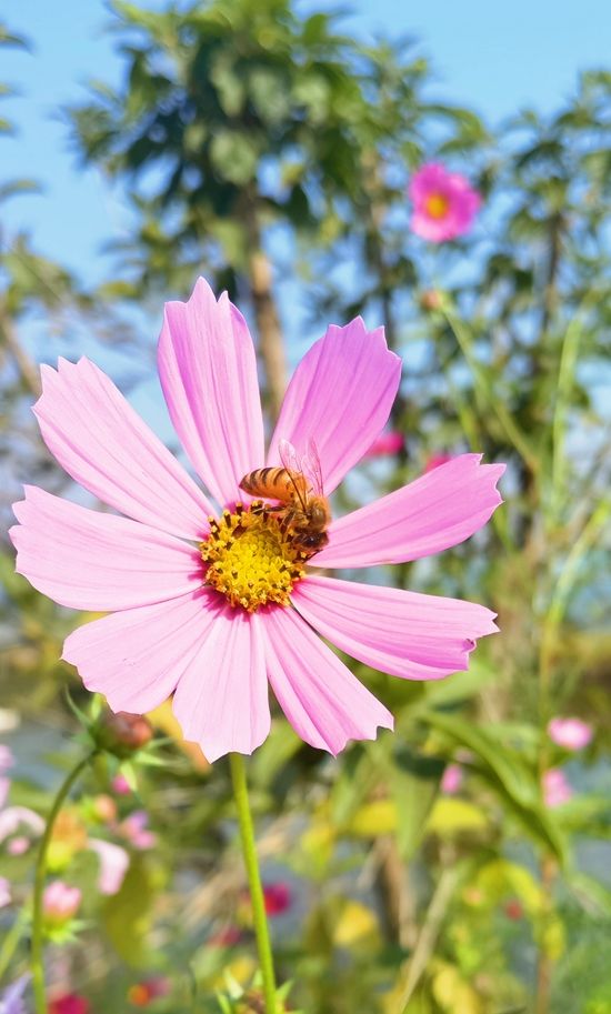 新建文件夹 (2)IMG_4141(20221002-154803).jpg.jpg