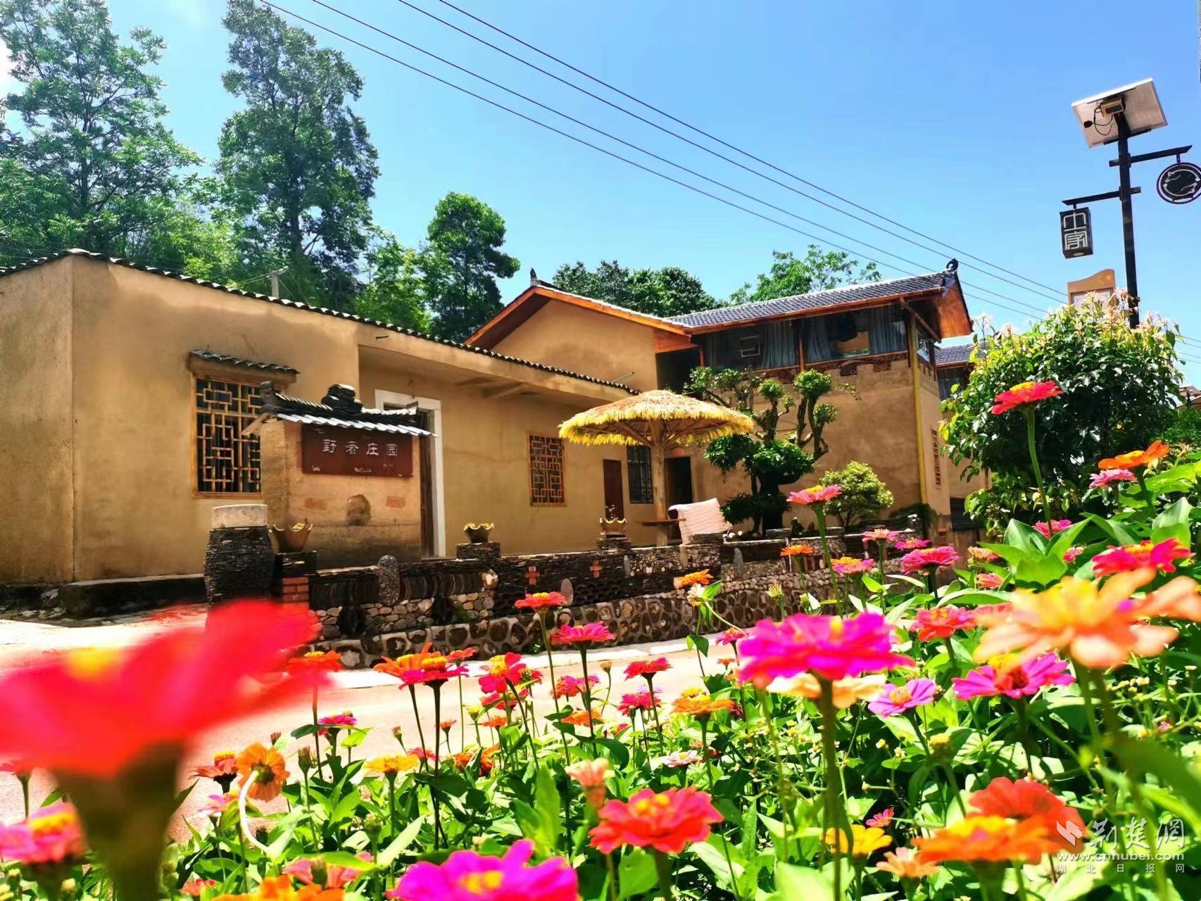 特色民居花团锦簇.jpg.jpg