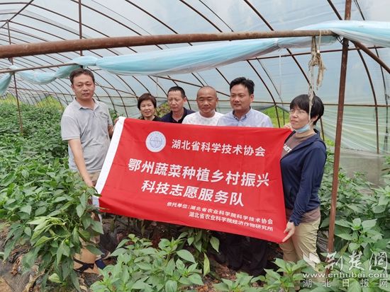 省科协邀请农技专家把农技送到杨叶镇蔬菜大棚.jpg.jpg