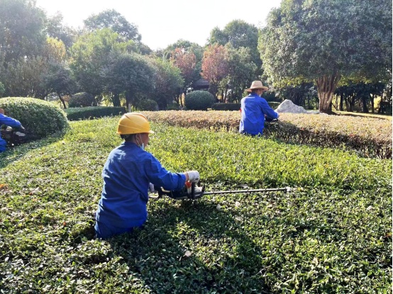 ������������̬�˶���԰���η��߰�ȫ��