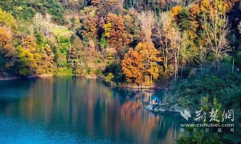 fa0bec8f1ce90fd50063c9def7c103fe_815X487_20221112150019