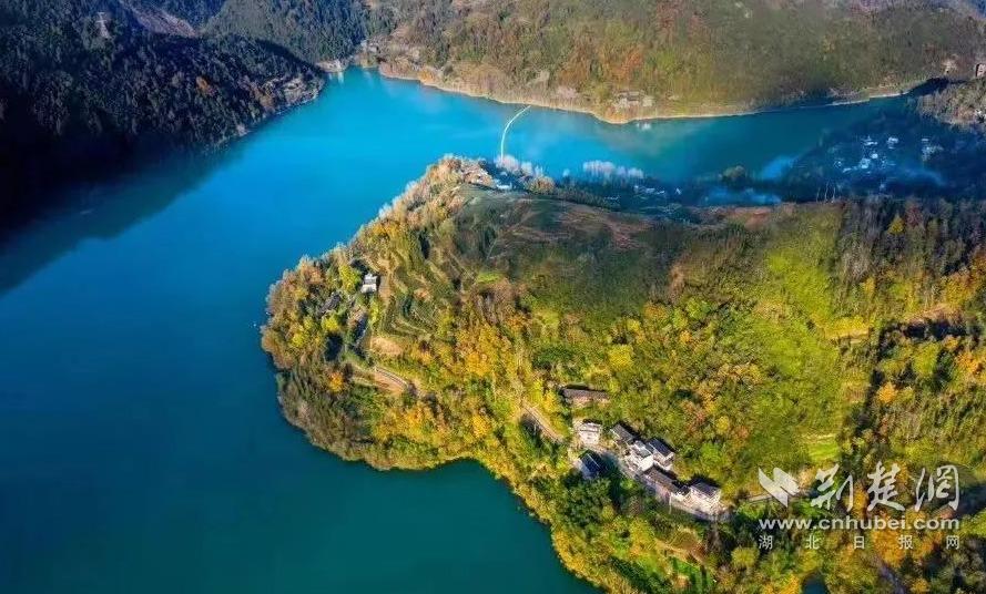 1c5e8c0fe6aeb23663b7889a8a7e70a8_889X536_20221112145944