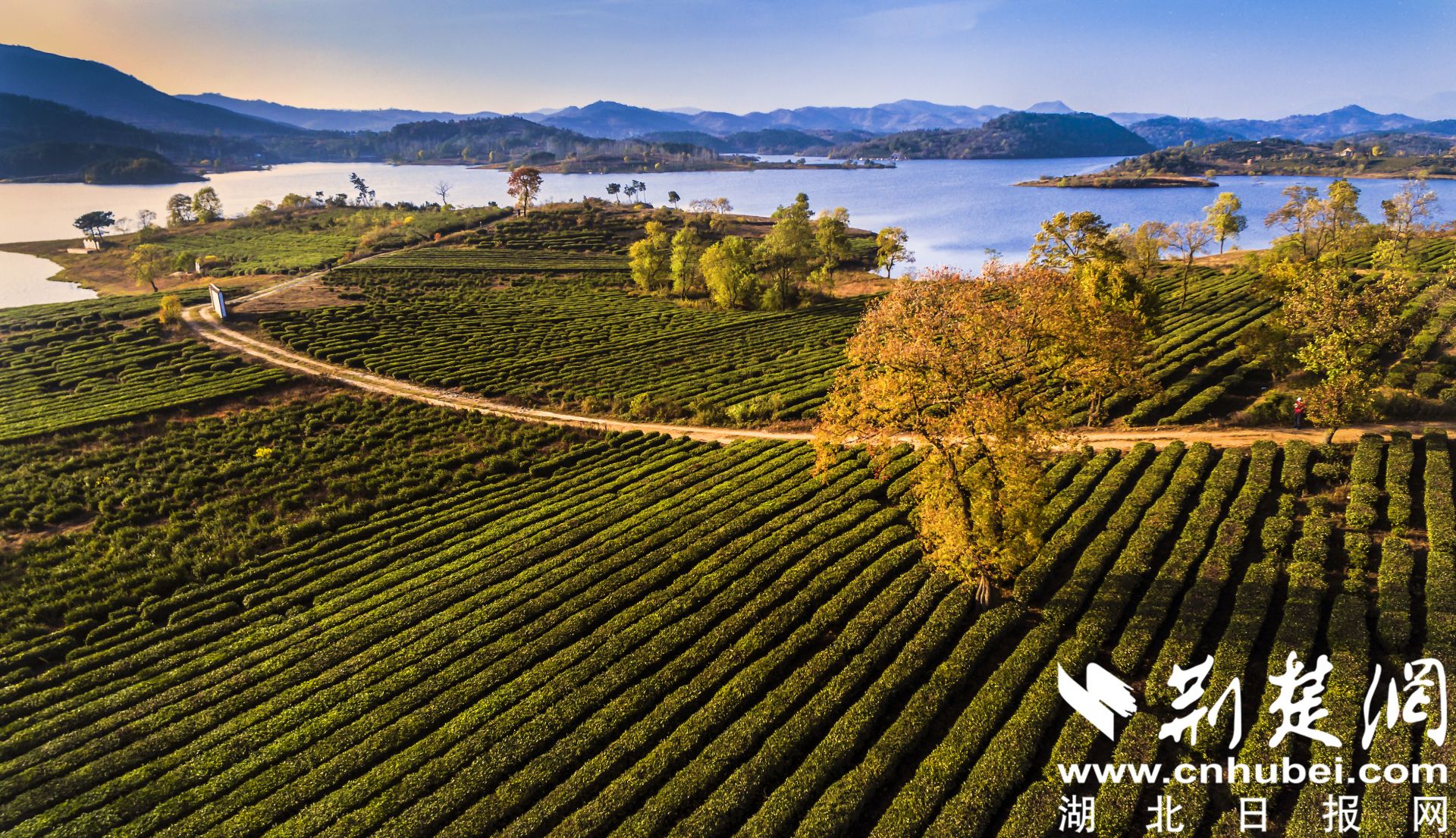 醉美秋色时 后期 大文件 何小白 18086698966.jpg.jpg