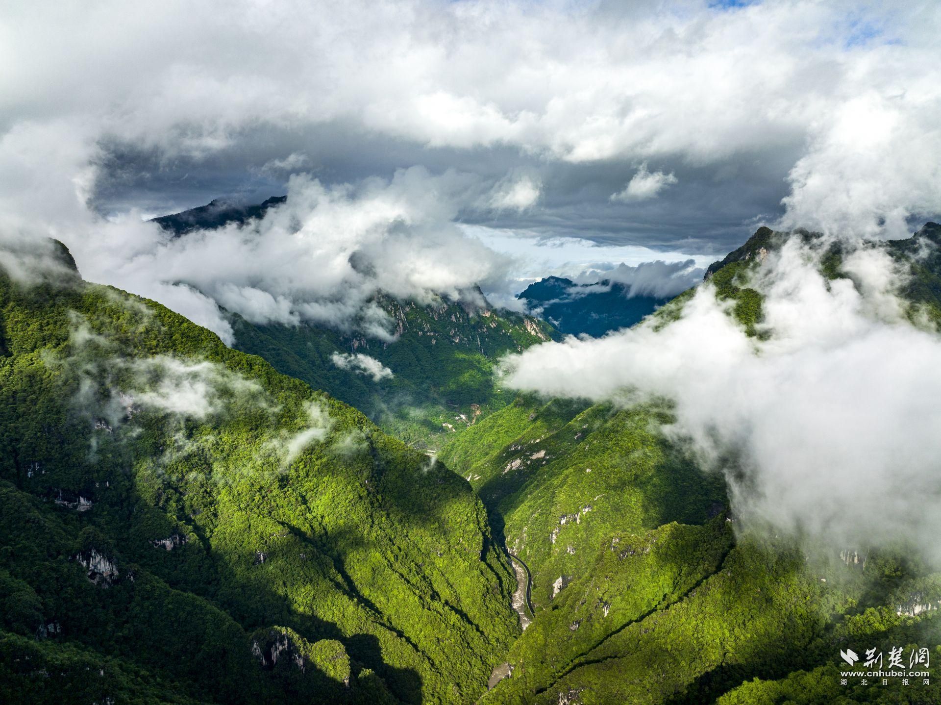 万朝山保护区风景如画.jpg.jpg