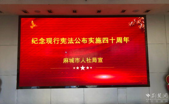 图片2_副本.png.png