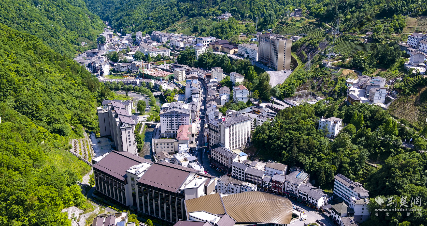 QQ截图20230129105624.png.png