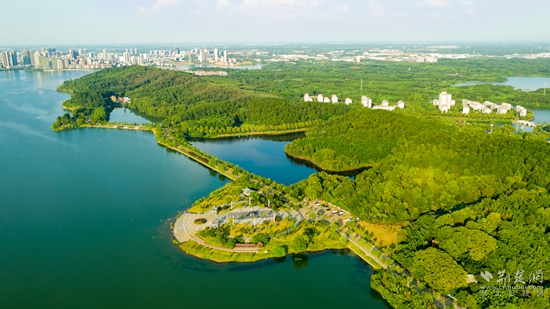 DJI_0663牛头山森林公园 雷平摄.jpg