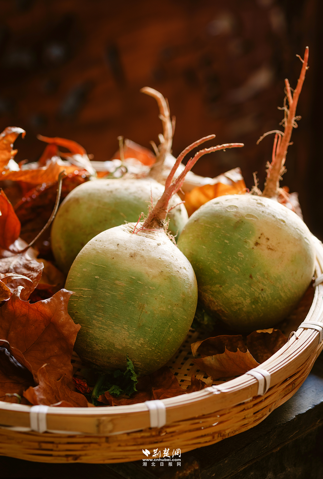 640?wx_fmt=png&tp=wxpic&wxfrom=5&wx_lazy=1&wx_co=1