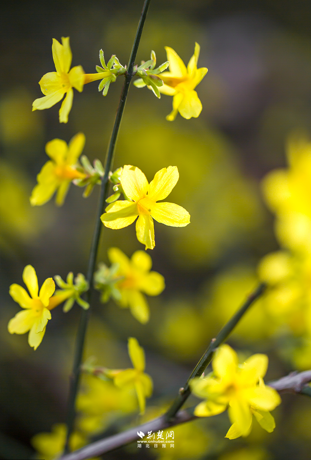 640?wx_fmt=png&tp=wxpic&wxfrom=5&wx_lazy=1&wx_co=1