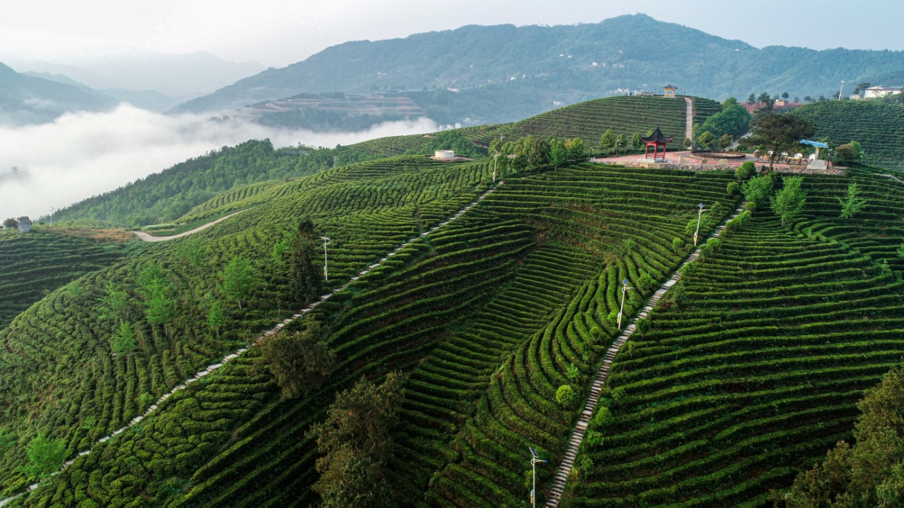 邓正赋 摄.png.png