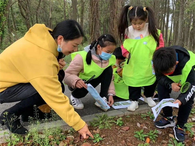 认识植物.jpg