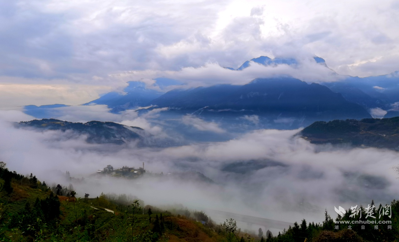 杨仕兵 摄.png.png