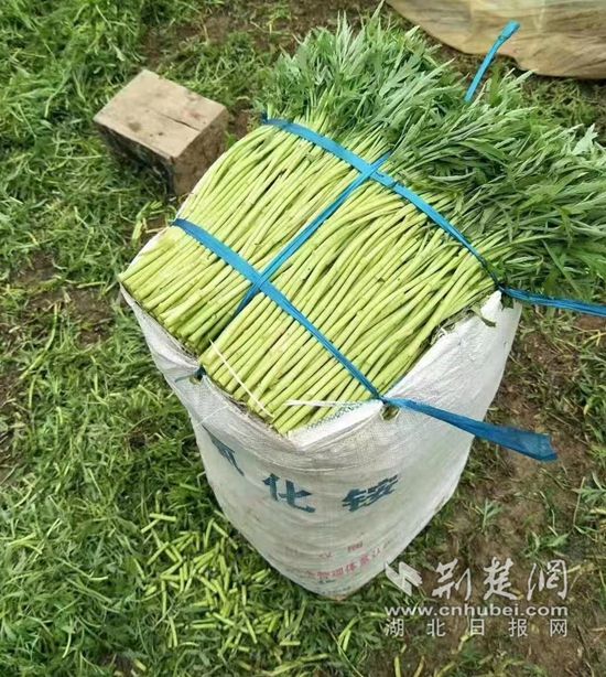 微信图片_20230331102923.jpg.jpg