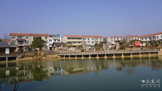 美丽宜居的中湾村徐家大林湾.JPG
