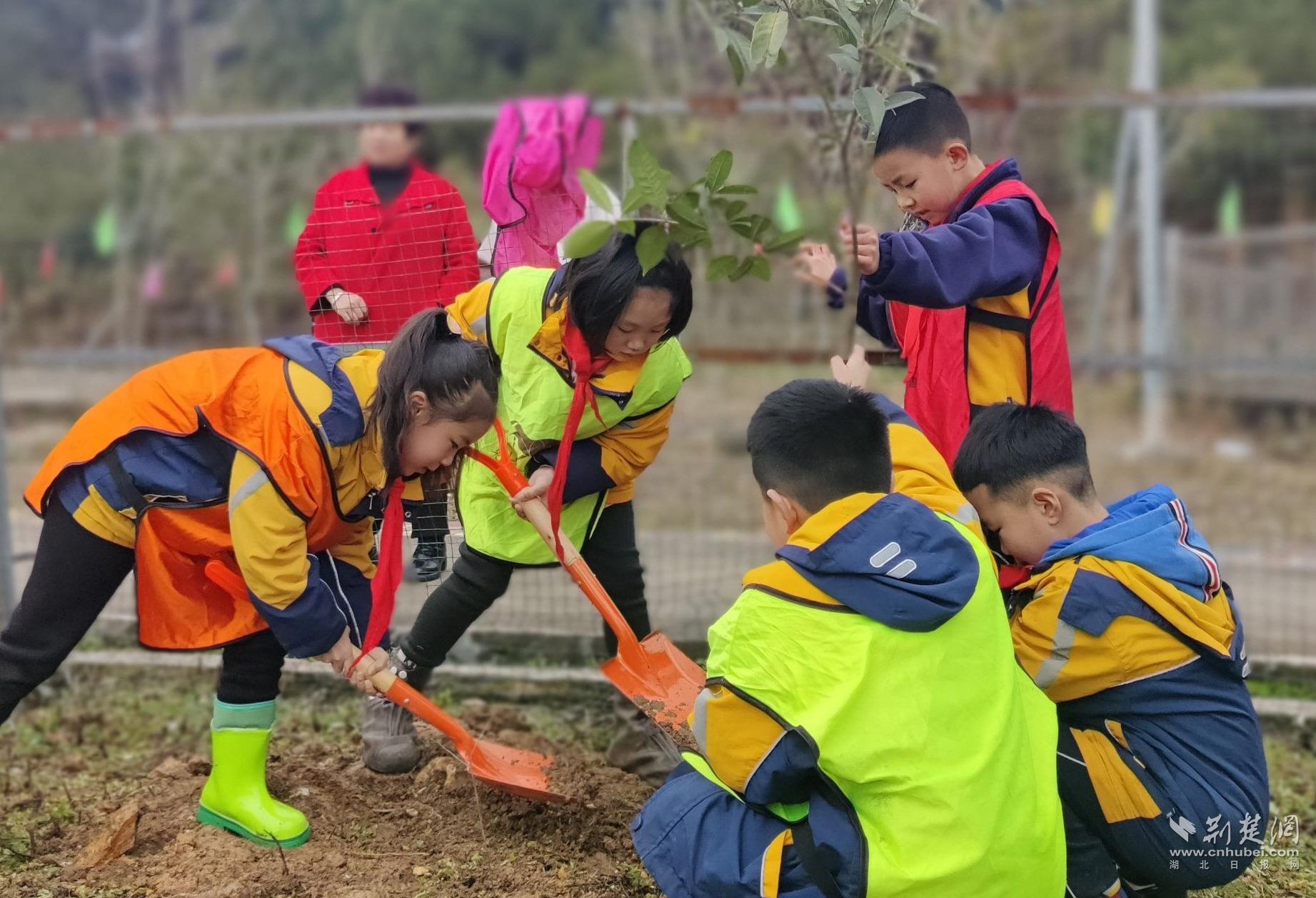 6bf971d493a553a8d6e0bb0eb9355a0d_1843X1257_20230313133044