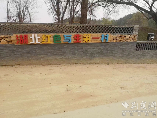 图片11.jpg
