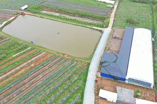 俯瞰海哥种养殖家庭农场 (1).jpg.jpg
