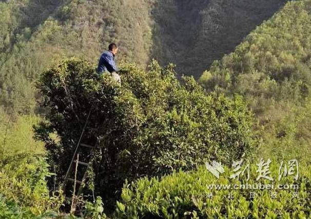 d22dfd03f9776f51cbda381ef88cb4db_606X428_20230413134622