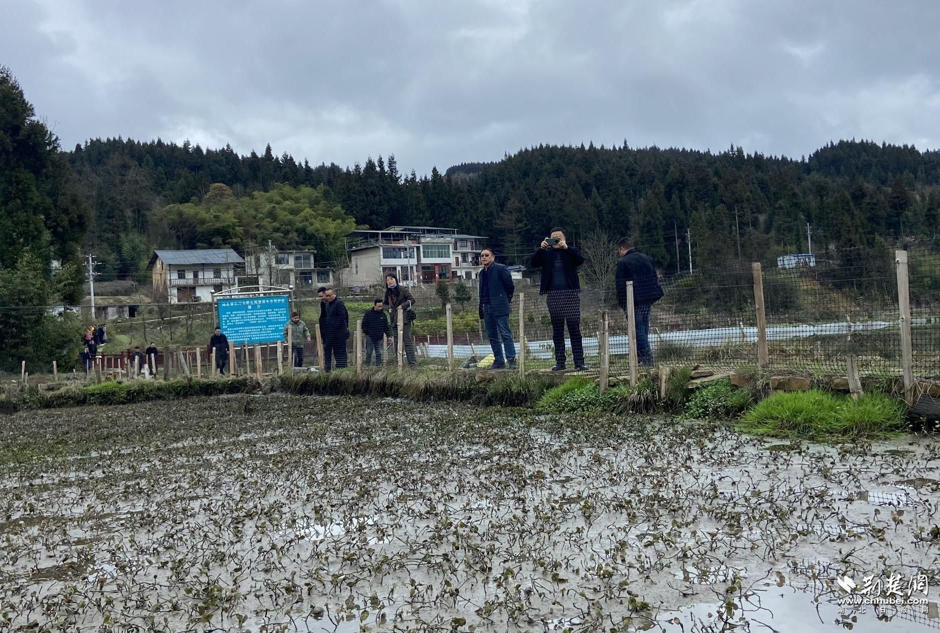 28f5090bbf9c423e381ea99fd3b53b64_1881X1268_20230402160035