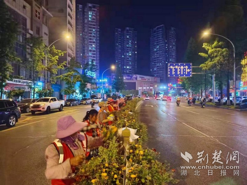 图片 4.jpg