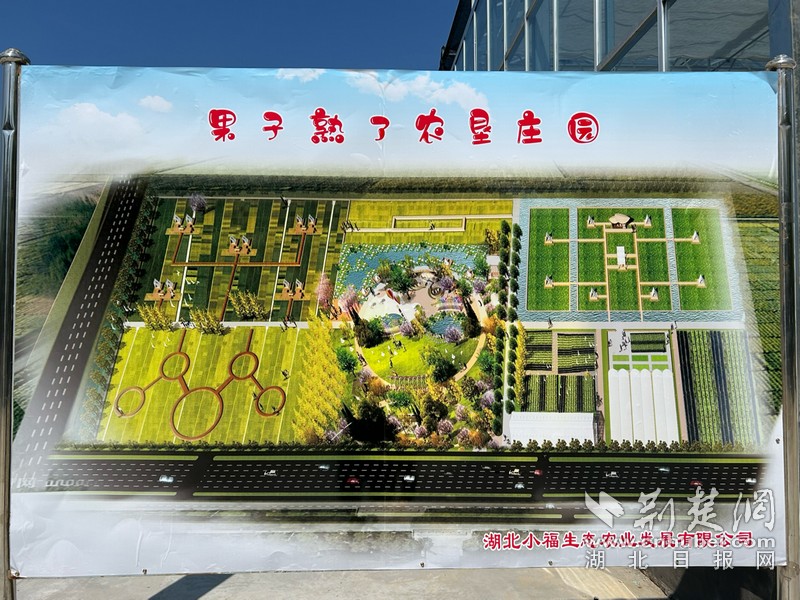 图片 6.jpg