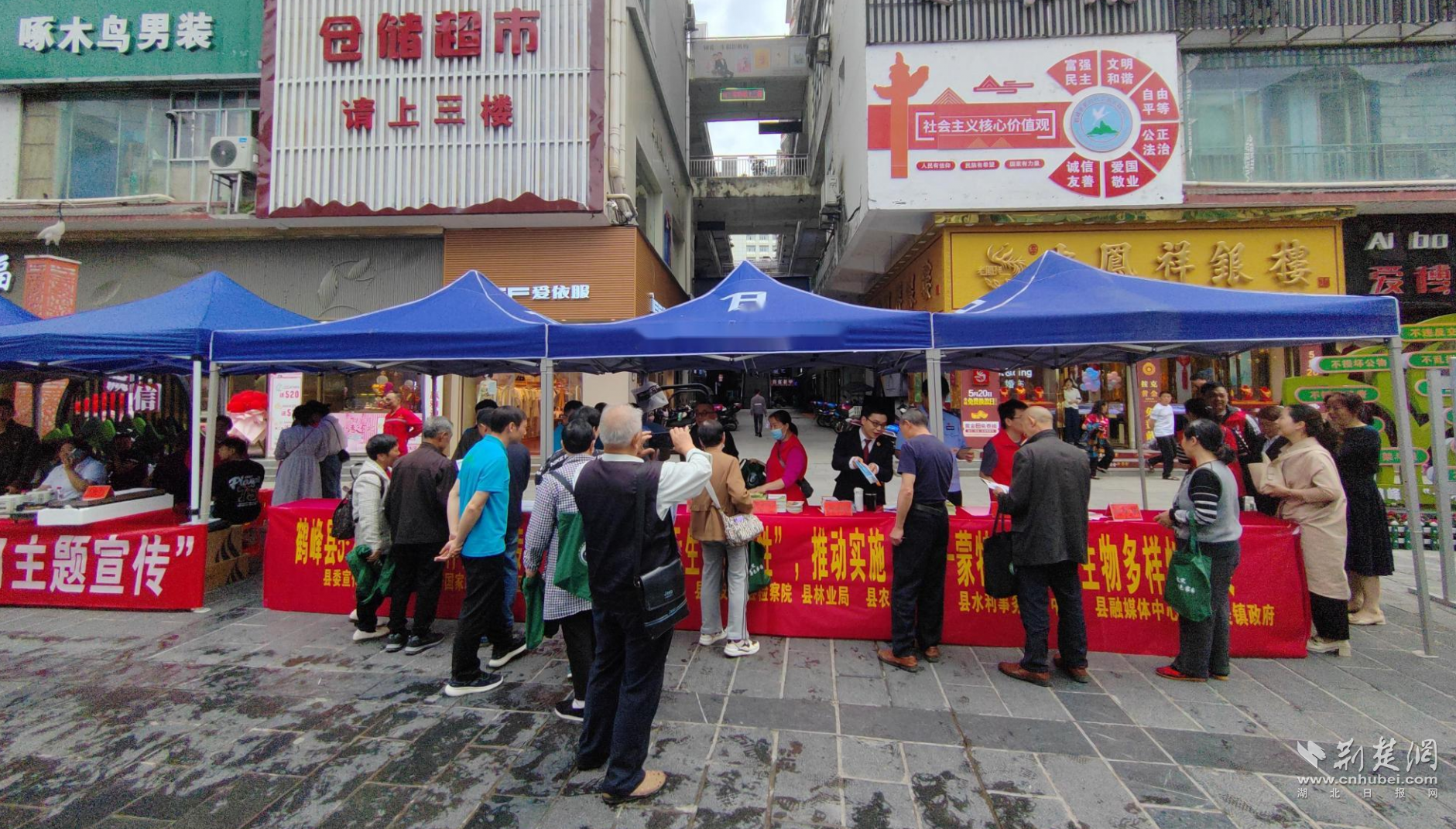 fa8ae4af381024d5ce70ee8ca3a48780_1881X1072_20230519223343