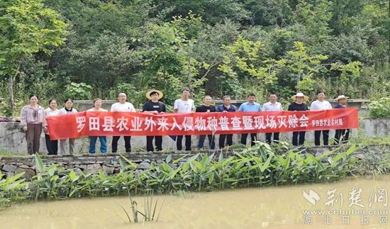 图片5.jpg.jpg