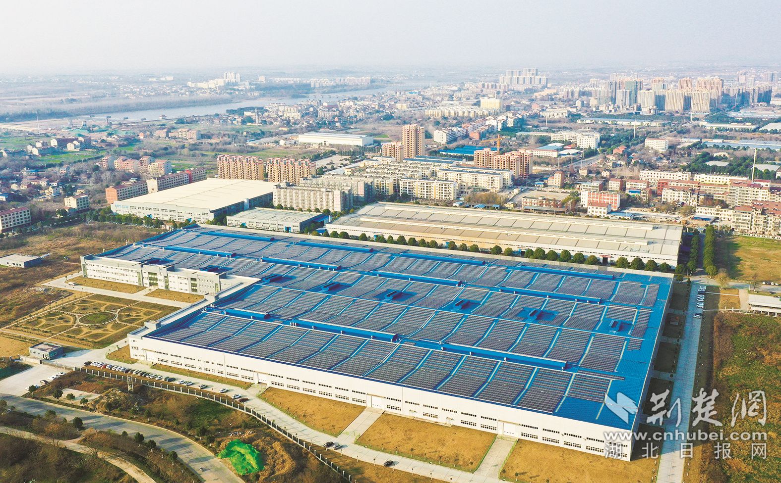 湖北惠洋电器4.jpg.jpg