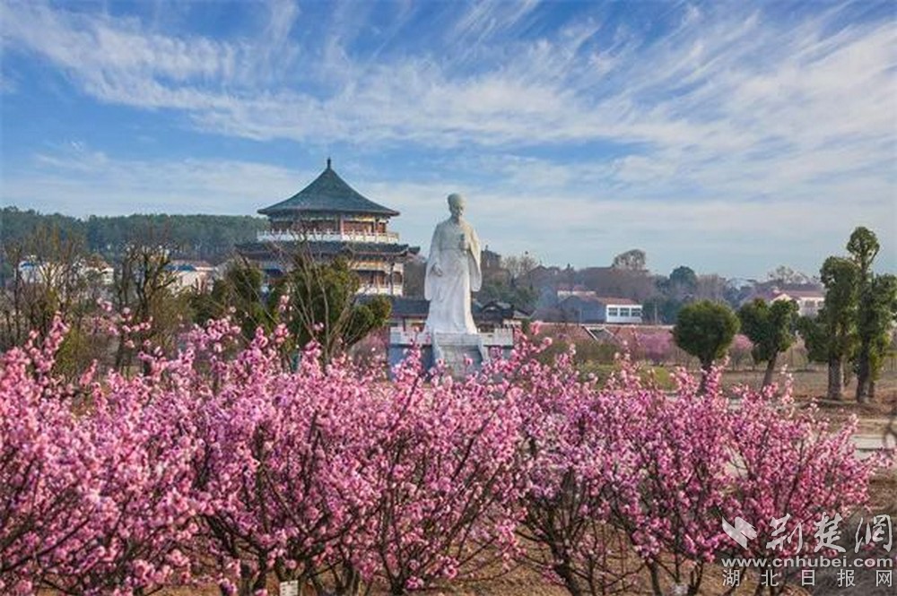 孟宗公园.jpg