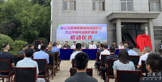 图片1_副本.png.png