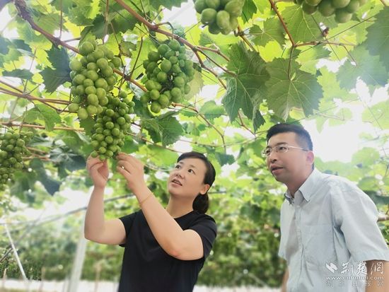 微信图片_202306181752412_副本.jpg.jpg