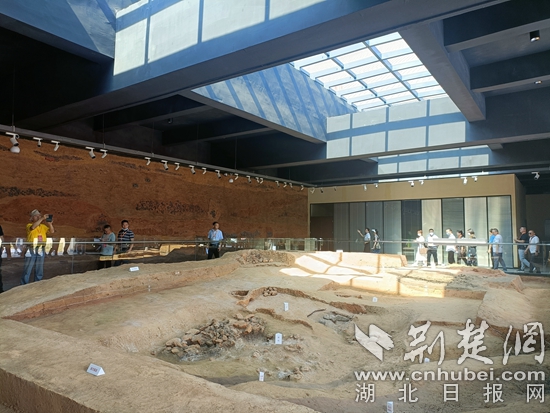 微信图片_20230609164913.jpg