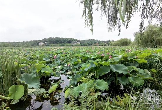 微信图片_20230621181315_副本.jpg.jpg
