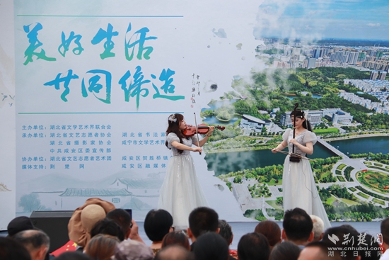 乐器演奏.jpg